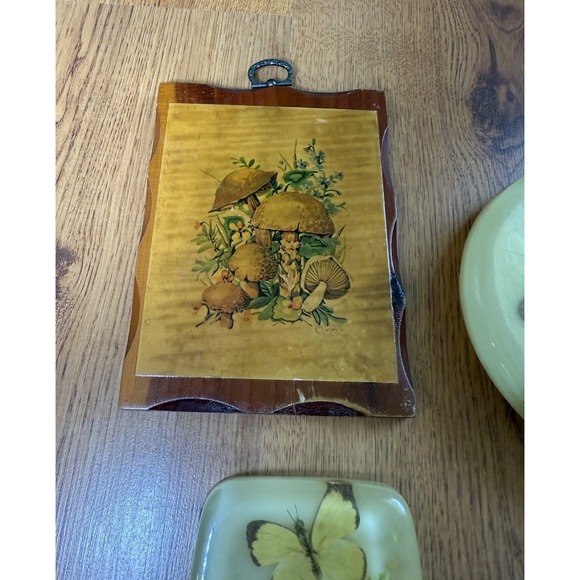 Vtg Acrylic Resin Lucite Trivet Set (2) + Spoon Rest + Wooden Mushroom Wall Art - Picture 5 of 16